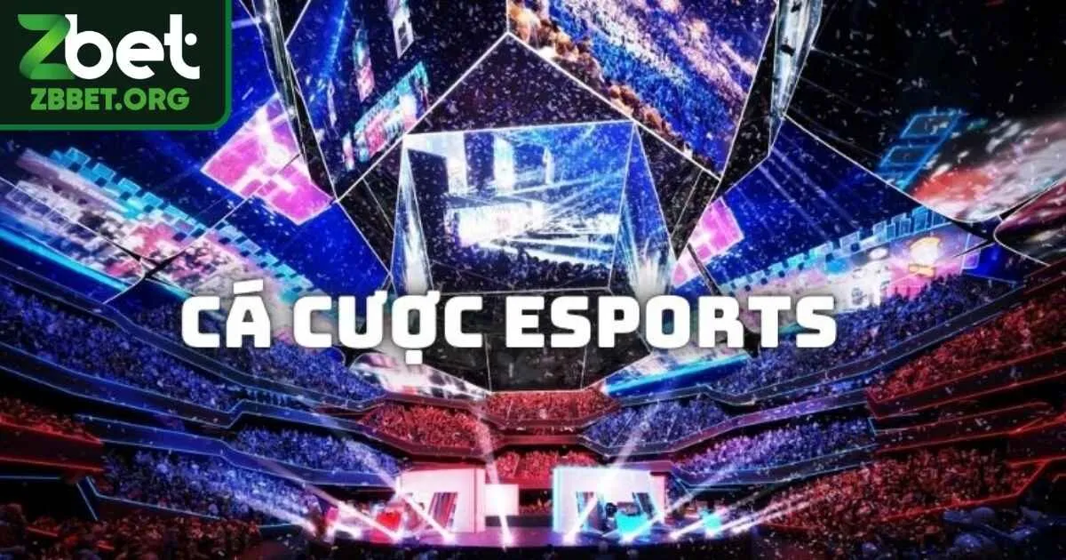 Mẹo hay cho các tân binh thắng